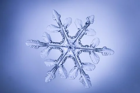 Real snowflake Stock Photos