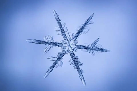Real snowflake 스톡 사진