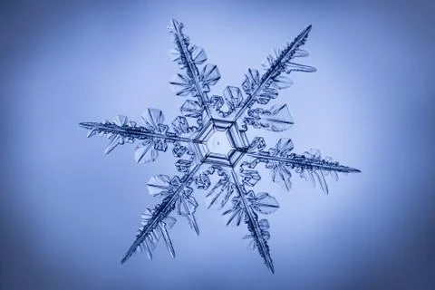 Real snowflake Stock Photos