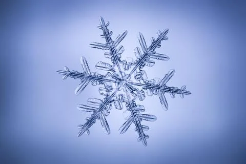 Real snowflake Stock Photos