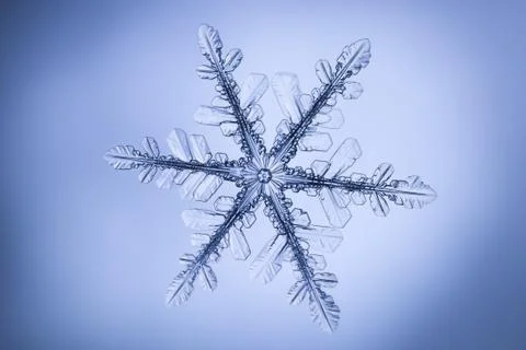 Real snowflake Stock Photos