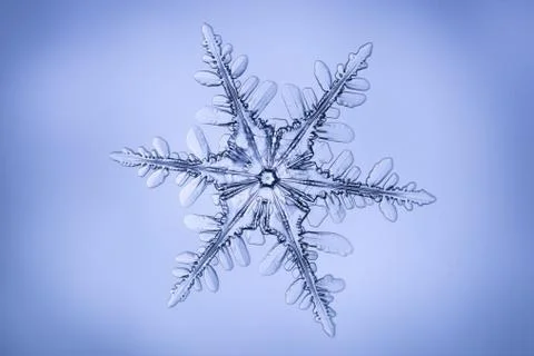 Real snowflake 스톡 사진