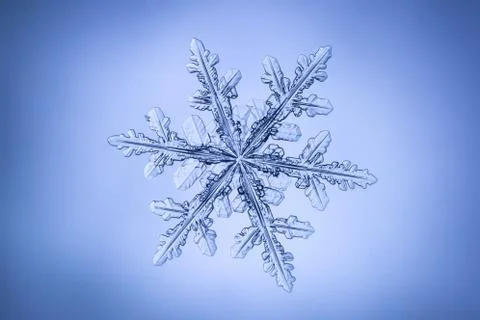 Real snowflake Stock Photos