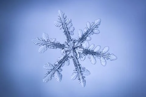 Real snowflake 스톡 사진