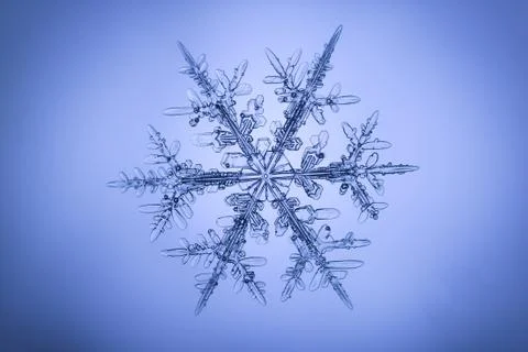 Real snowflake Stock Photos