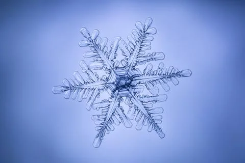 Real snowflake 스톡 사진