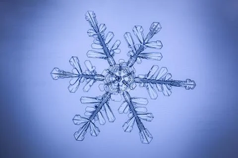 Real snowflake Stock Photos