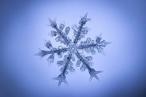 Real snowflake Stock Photos