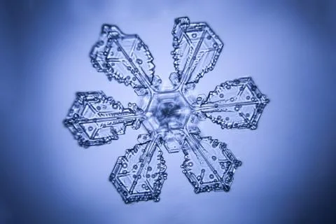 Real snowflake Stock Photos