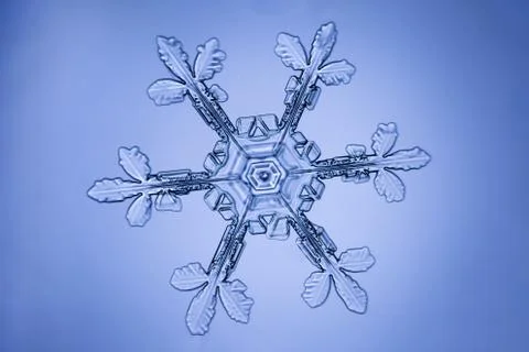 Real snowflake Stock Photos