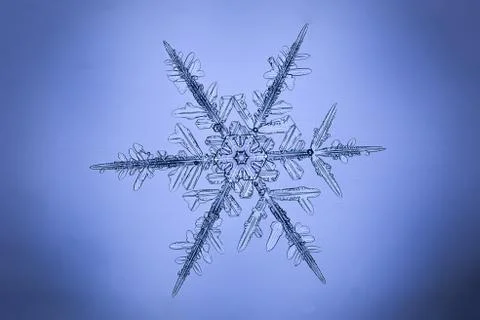 Real snowflake 스톡 사진