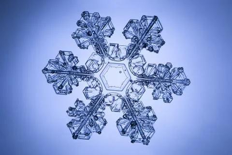 Real snowflake Stock Photos