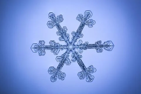 Real snowflake 스톡 사진