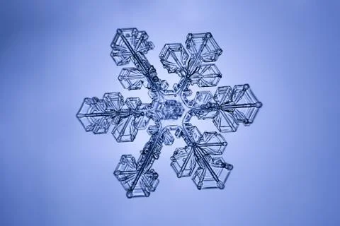 Real snowflake 스톡 사진