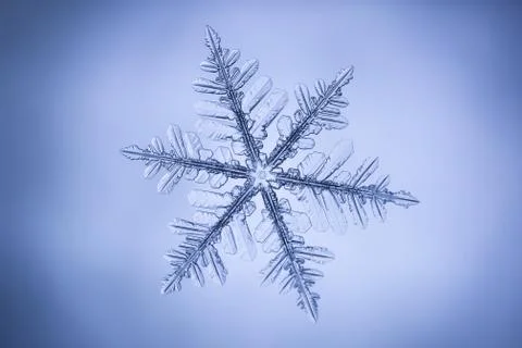 Real snowflake Stock Photos