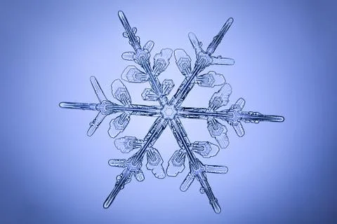 Real snowflake Stock Photos