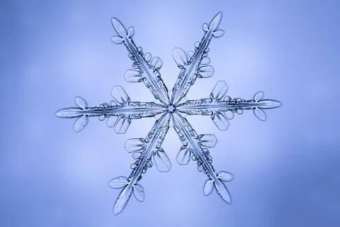 Real snowflake Stock Photos