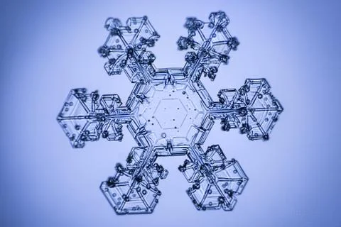 Real snowflake Stock Photos
