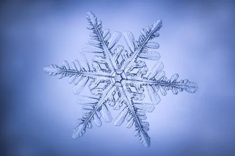 Real snowflake Stock Photos
