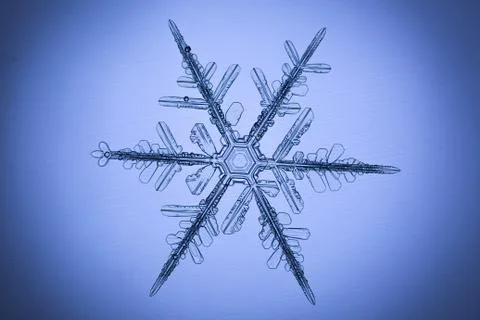 Real snowflake Stock Photos