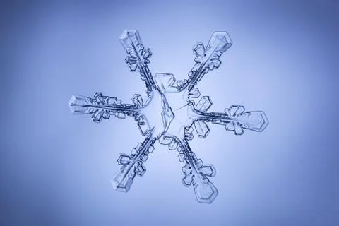 Real snowflake Stock Photos