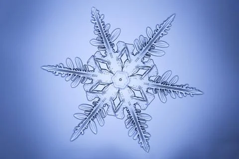 Real snowflake 스톡 사진