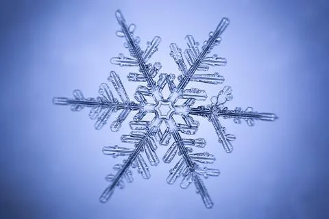 Real snowflake Stock Photos