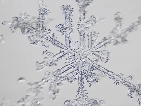 Real snowflake Stock Photos