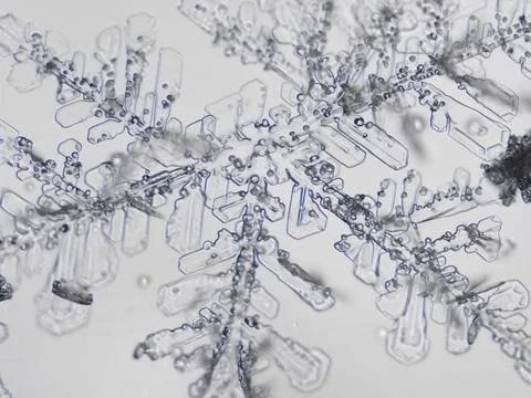 Real snowflake Stock Photos