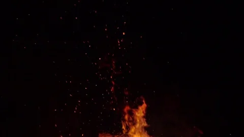 Real sparks from big bonfire Stock Footage 77490980
