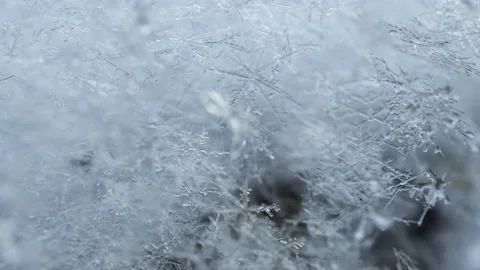 Real structural shiny snowflakes close-up. Stockbeeldmateriaal 146230250