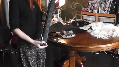 A real Tarot session.element 2 A rain stick Stock-Footage 145803272