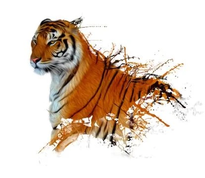 Real tiger splash イラスト素材