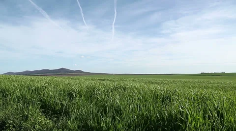 Real time landcsape view Stock Footage 36247668