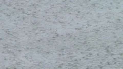 Real Time Rainfall in Cold December Weather Before Monsoon Season Video stock 328018240