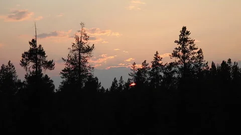 Real time of the setting sun silhouetting pines in a colorful sky in Idaho Stock Footage 217852186