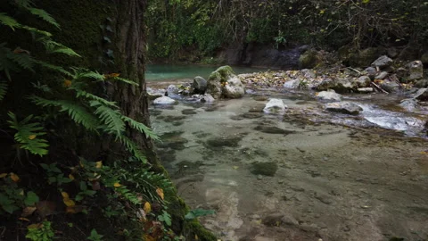 Real-time shot of a riverbed with rocks Stock Footage 219630806