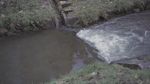 Real Time Shot Of A Small Water Vortex Of A Village Creek Stock Footage 147129231