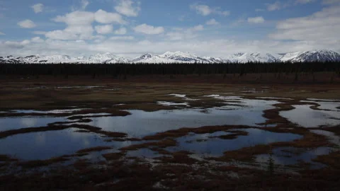 Real time of spring cloud shadows on Alaskan wetlands, pines and snowy mountains Stock Footage 242980964