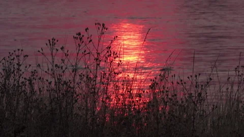 Real time of the sunset reflected in the Henrys Fork River in Idaho in summer 스톡 동영상 216232276