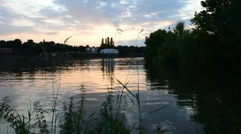 Real time video habor evening Rhine 動画素材 11323020