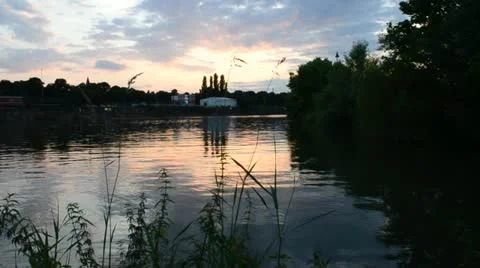 Real time video habor evening Rhine 動画素材 11323103