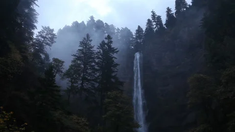 Real time view of fog drifting around the forest at Multnomah Falls Stock Footage 132004083