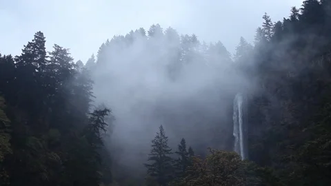 Real time view of fog drifting around the forest at Multnomah Falls Stock Footage 132004108