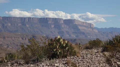 Real time view of puffy clouds in blue sky above Big Bend geology and flora Stock Footage 166813136