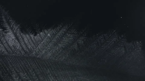 Real Timelapse Shot of Frost Texture Forming on Glass, Black Background. Stock Footage 327412955