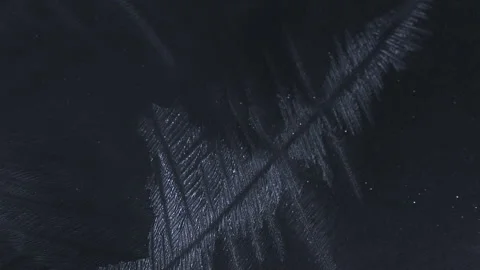 Real Timelapse Shot of Frost Texture Forming on Glass, Black Background. Stock Footage 327686934