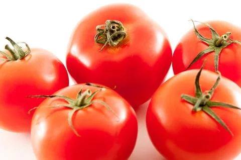 Real Tomatoes close up Stock Photos