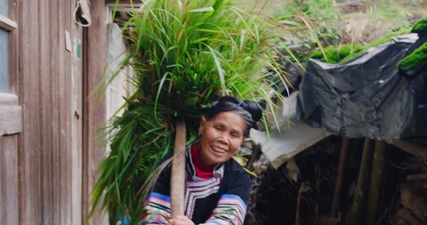 Real unique authentic Asian Chinese village woman farmer walking with grass bund Video stock 201094856
