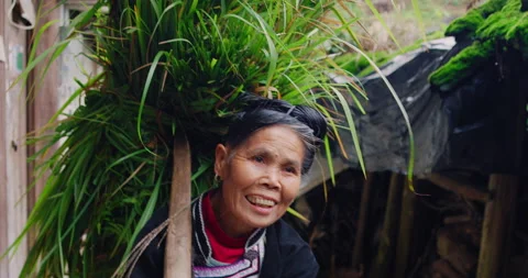 Real unique authentic Asian Chinese village woman farmer walking with grass bund Stock Footage 201095768